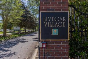 Live Oak Village New Homes in Foley, AL