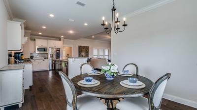 Mesquite New Home in Cantonment, FL