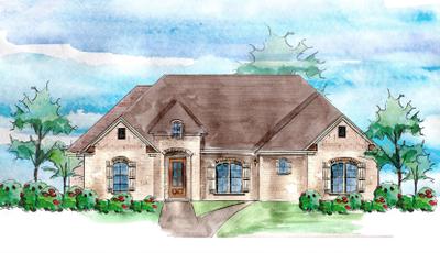 Elevation A. 2,687sf New Home in Fairhope, AL