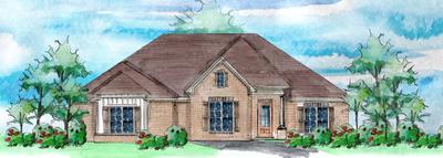 Elevation C. 4br New Home in Freeport, FL