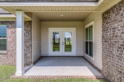 Foster New Home in Daphne, AL