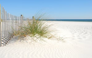 Sea Breeze at Secluded Dunes